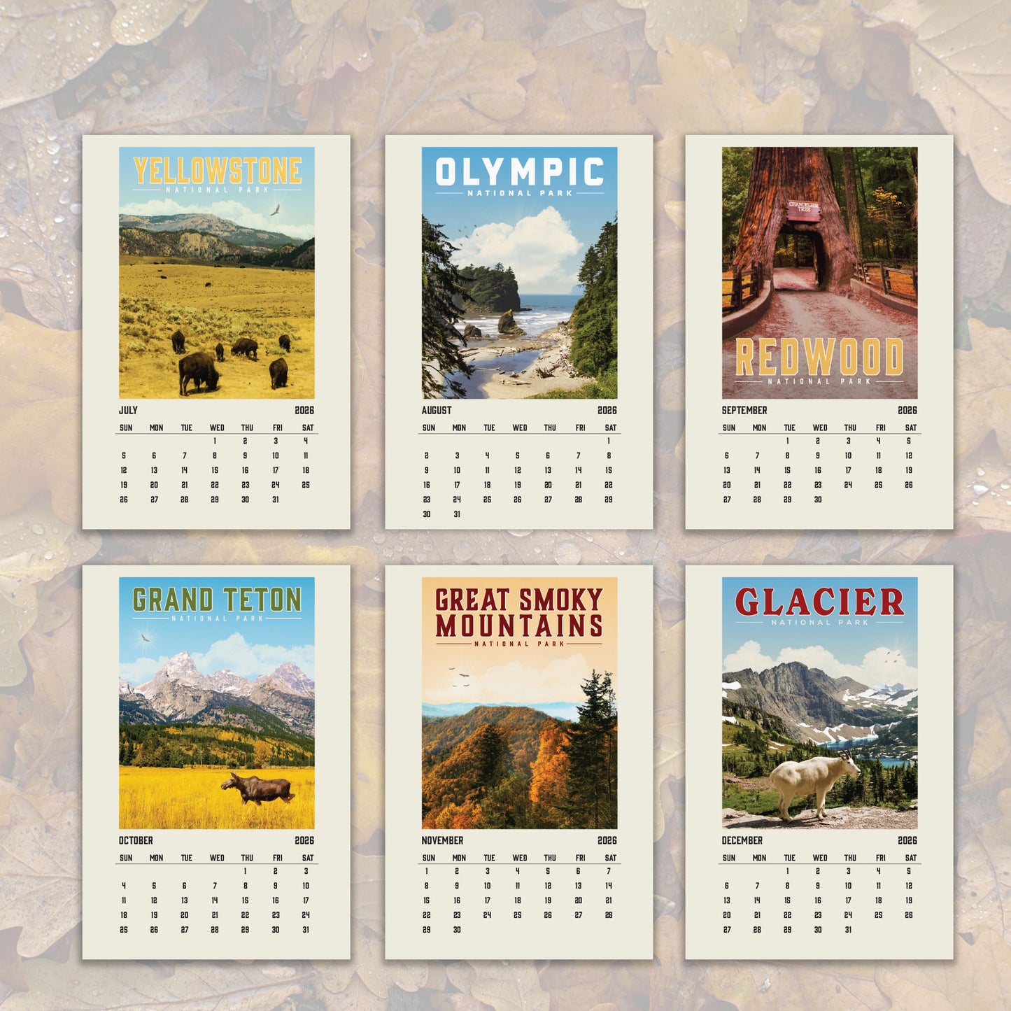 six different calendar pages featuring various scenic landscapes and national parks, including Yellowstone, Olympic National Park, Redwood National Park, Grand Teton, Great Smoky Mountains National Park, and Glacier National Park.