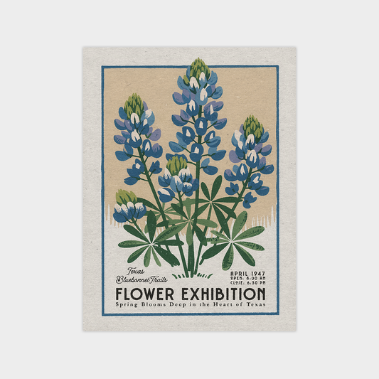 a picture of a bunch of blue flowers