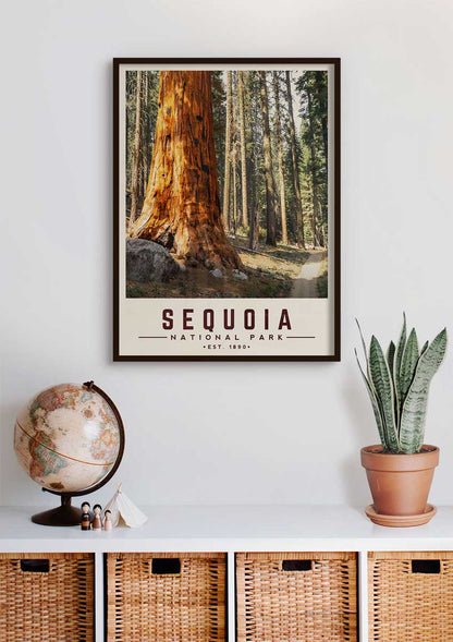 Sequoia Minimalist National Park Poster