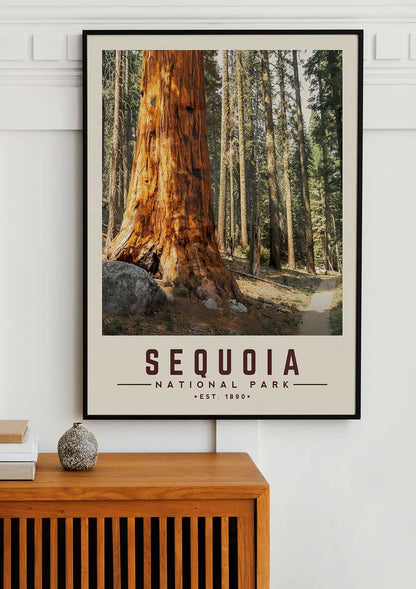 Sequoia Minimalist National Park Poster