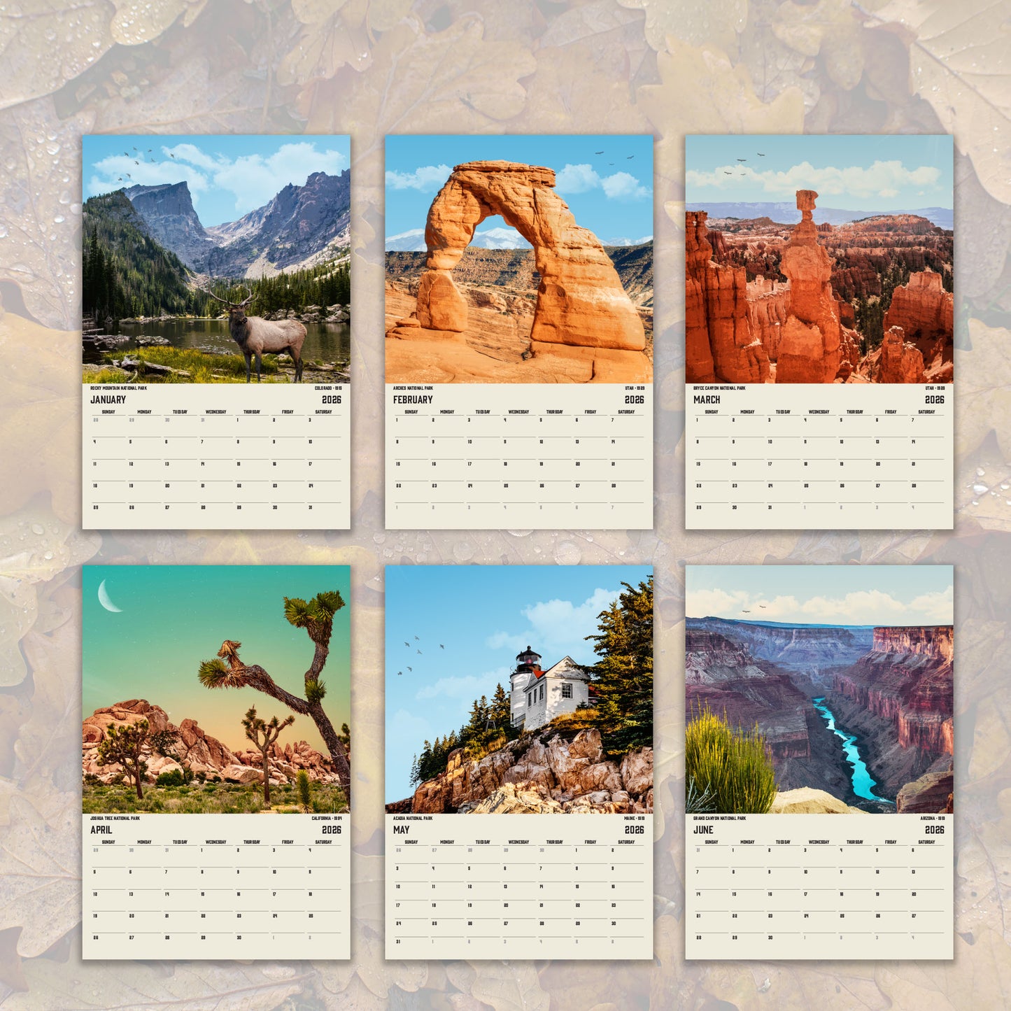 The image is a collage of six calendar pages featuring various scenic landscapes, including mountains, canyons, and desert scenes.