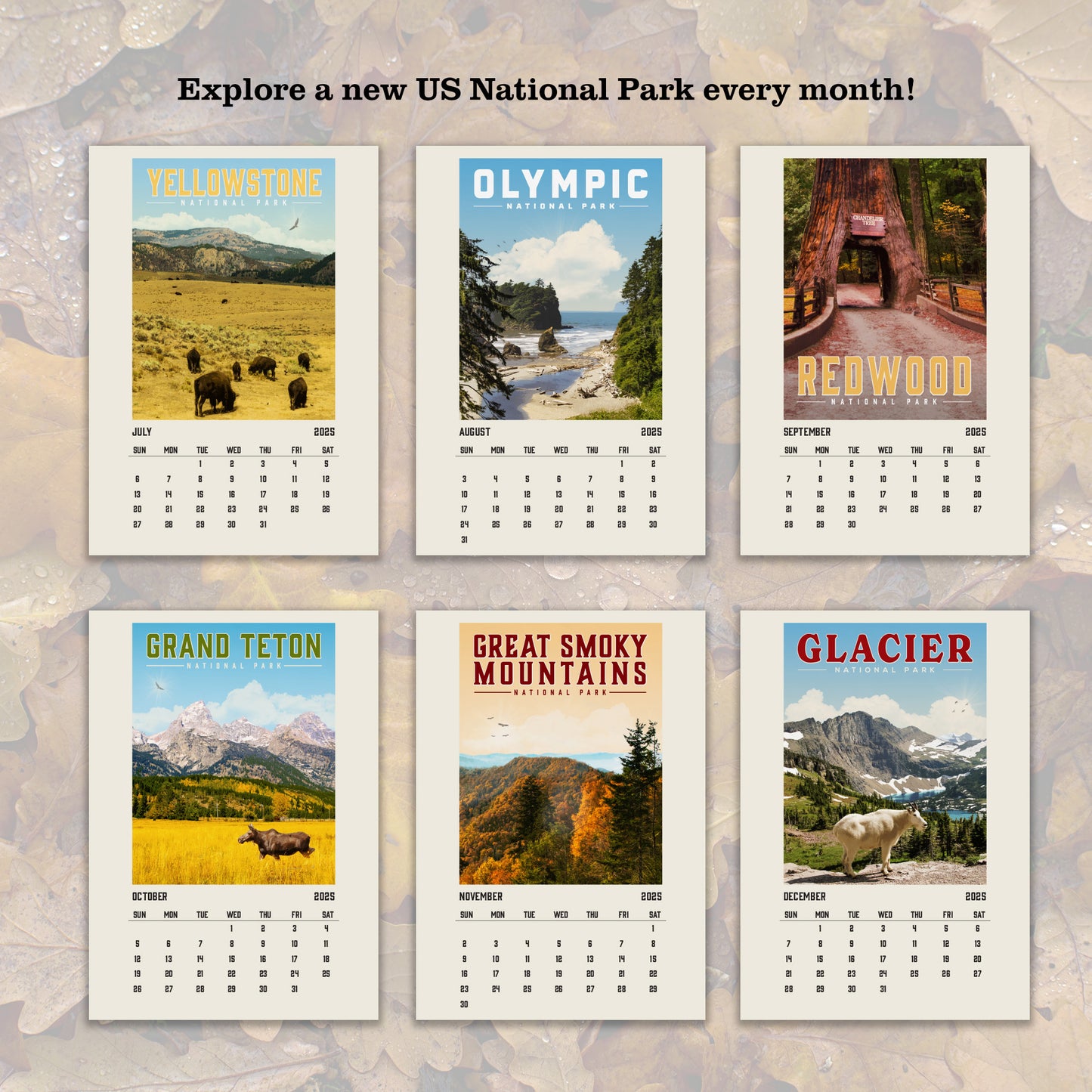 2025 National Park Simplified Calendar