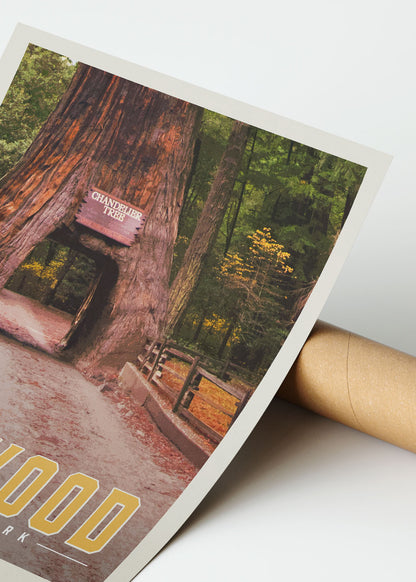 Redwood Vintage National Park Poster