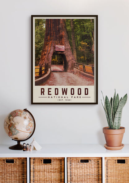 Redwood Minimalist National Park Poster