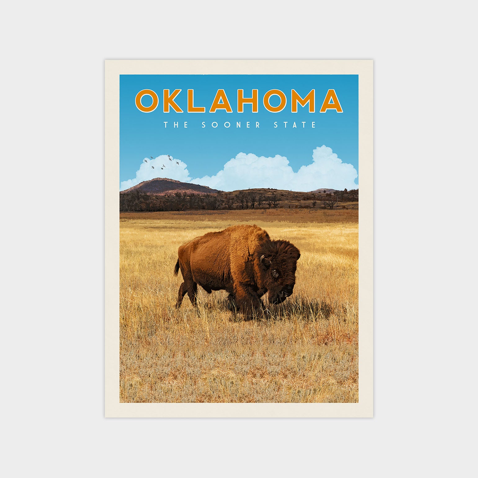 A buffalo grazing in a field with mountains in the background, set against a blue sky with clouds.