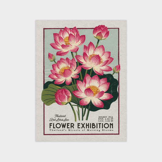 a picture of a bunch of pink flowers